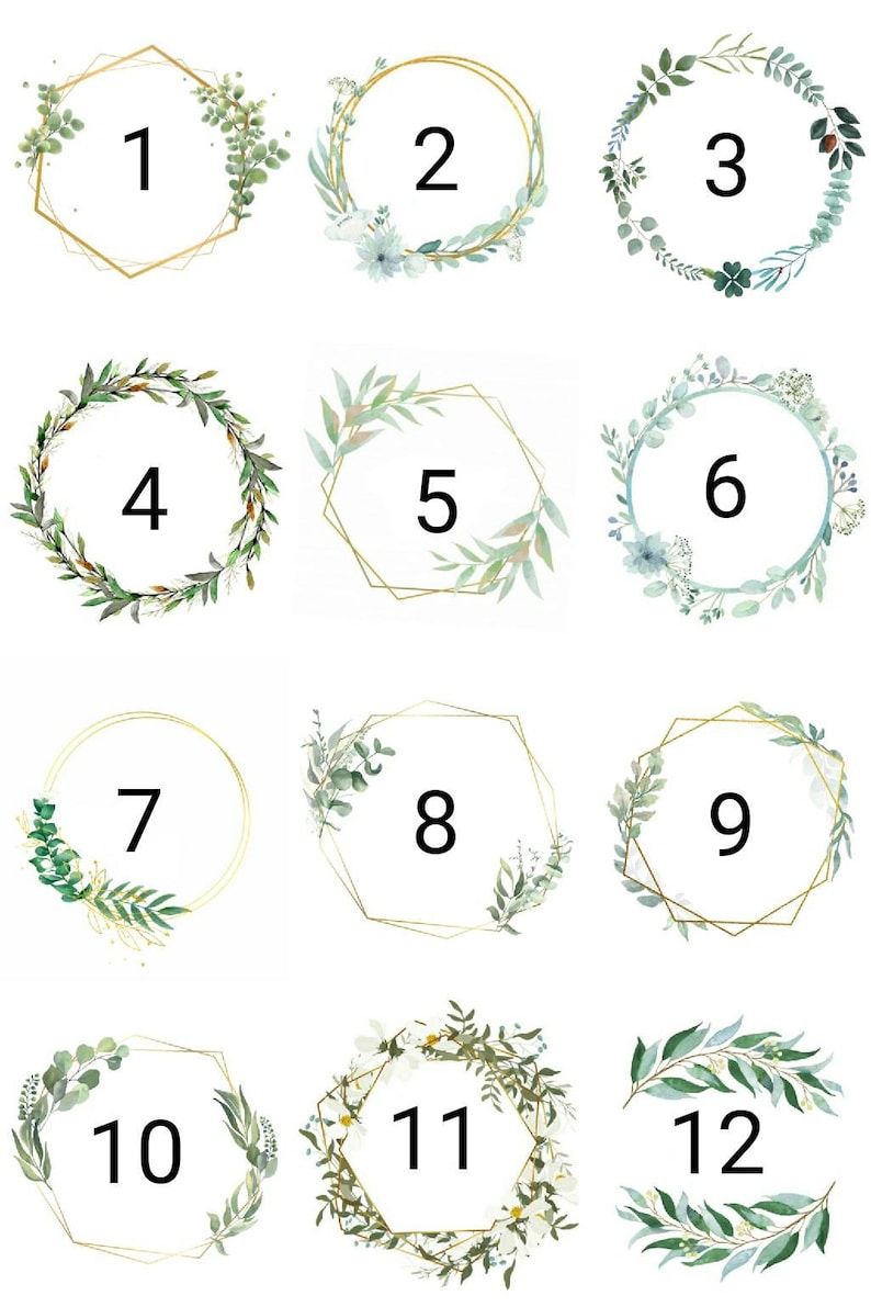 May include: Twelve gold-rimmed frames with green foliage and white flowers. Each frame is numbered from 1 to 12.