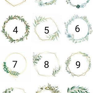May include: Twelve gold-rimmed frames with green foliage and white flowers. Each frame is numbered from 1 to 12.
