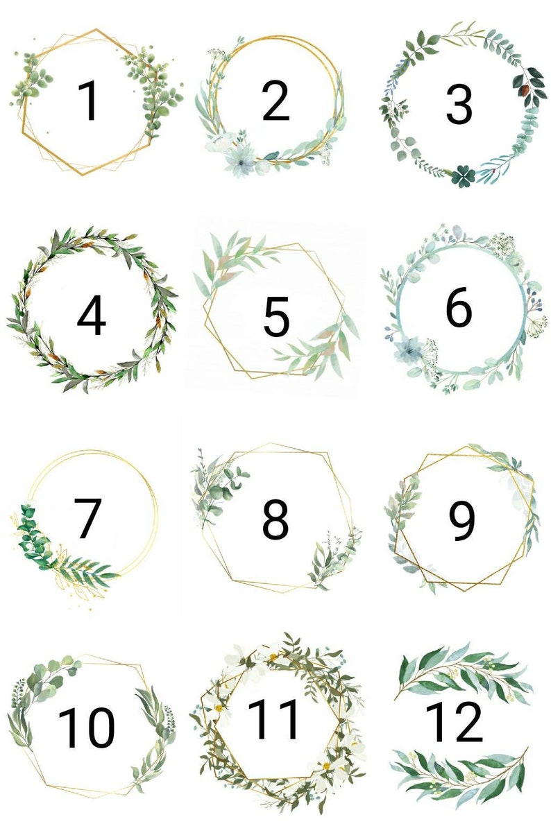 May include: Twelve gold-rimmed frames with green foliage and white flowers. Each frame is numbered from 1 to 12.