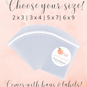 One Sweet Peach 1st Birthday Treat Bags - Bags & Labels - Self Seal - Peach First Birthday Cookie Bags, Sweet as a Peach Theme Party Favors