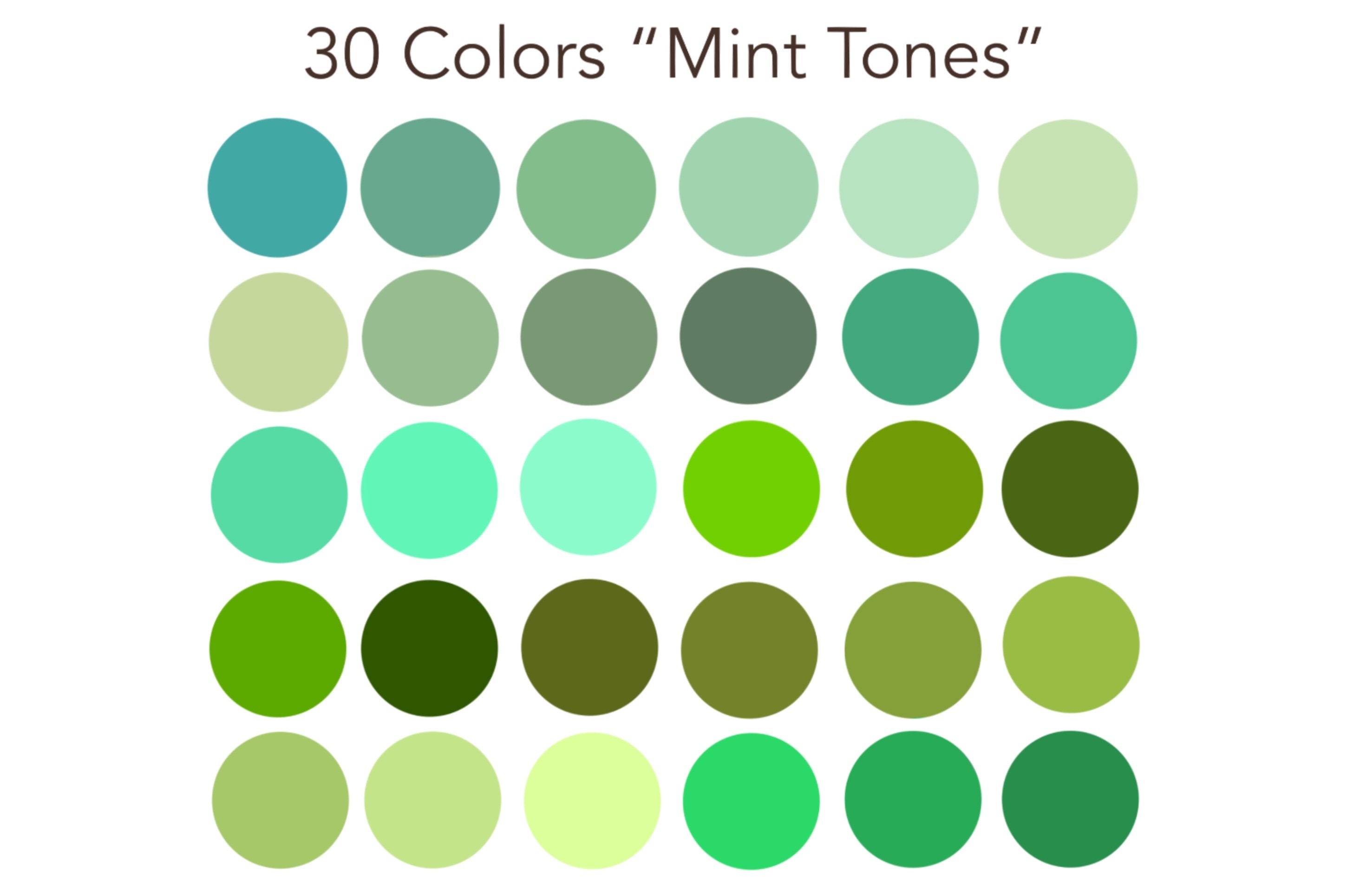 Mint Tones Color Palette, 30 Colors, Procreate Tool, Color Swatch Green