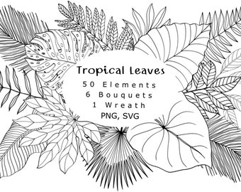 Tropical Leaves Line Art Clipart, Botanical PNG SVG (Digital Download)