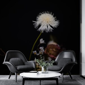 May include: A white dandelion-like flower with a long stem, against a black background. Two black chairs and a white marble coffee table are in the foreground.