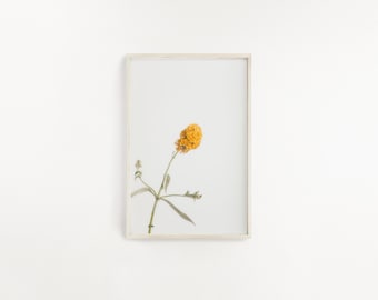 One Digital Print, Botanical Wall Art, Printable Wall Art, Farmhouse Decor, Plant photograph, Botanical Poster, Home Decor, Plant Art Print