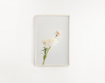 One Digital Print, Botanical Wall Art, Floral Wall Art, Farmhouse Decor, flower wall decor, White botanical print, Wild Flower prints