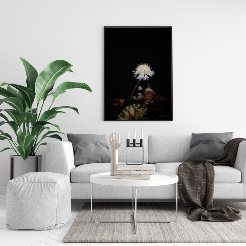 May include: A black and white photo of a single dandelion with other flowers in the background, framed and hanging on a white wall above a gray couch with pillows and a throw blanket.