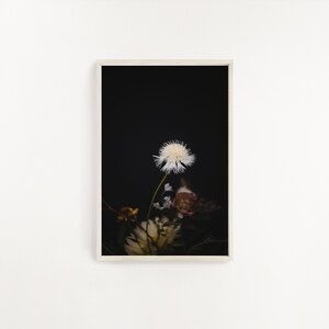Schwarzer Hintergrund, dunkle Moody Blumendruck, Moody Blumenkunst, Stillleben Foto, dunkle botanische Fotografie, botanische Drucke Floral Kunstdruck