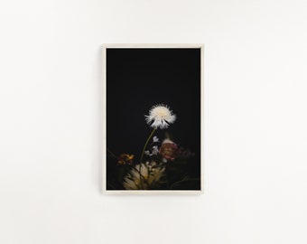 Black background, Dark Moody Floral Print, Moody Floral Art, Still Life Photo, Dark Botanical Photography, Botanical Prints Floral Art print