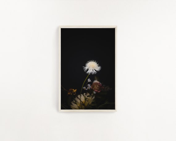 Black background, Dark Moody Floral Print, Moody Floral Art, Still Life Photo, Dark Botanical Photography, Botanical Prints Floral Art print