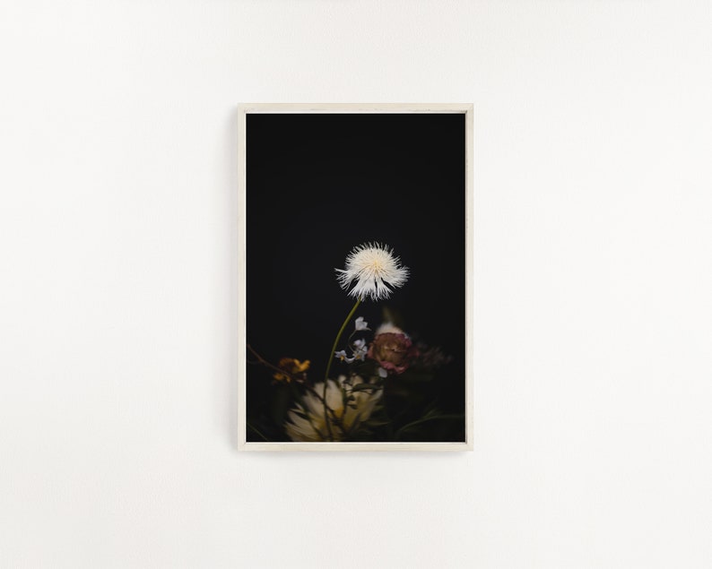 May include: A white dandelion with a fluffy seed head stands out against a dark background, surrounded by other flowers in shades of pink, white, and yellow.