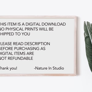 May include: A framed sign with white background and black text that reads: "THIS ITEM IS A DIGITAL DOWNLOAD NO PHYSICAL PRINTS WILL BE SHIPPED TO YOU PLEASE READ DESCRIPTION BEFORE PURCHASING AS DIGITAL ITEMS ARE NOT REFUNDABLE Thank you! -Nature In Studio"