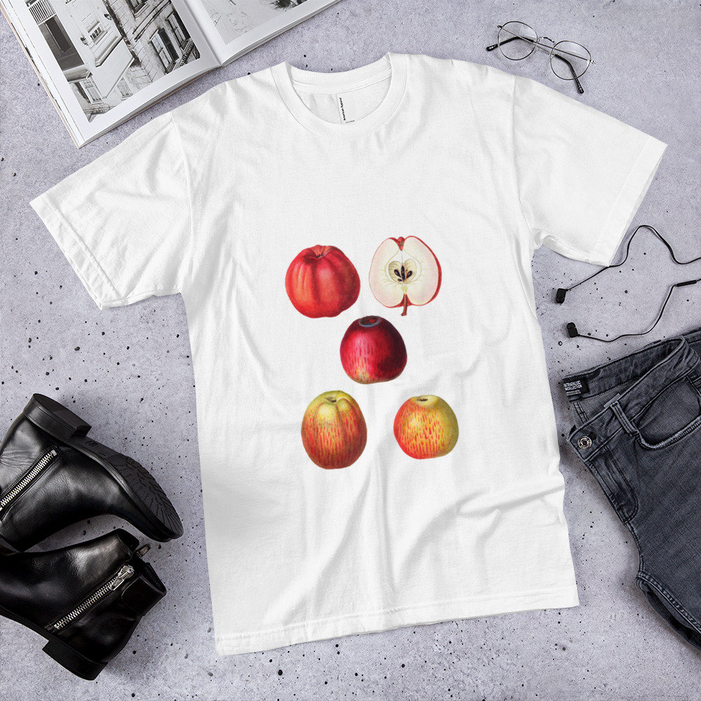 Apple Fruit Tshirt Unisex Apparel Retro Look Botany Etsy