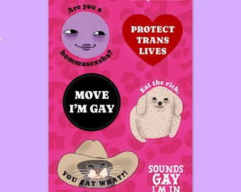 Funny LGBTQ+ Sticker Sheet, Meme, Internet, Trans Rights