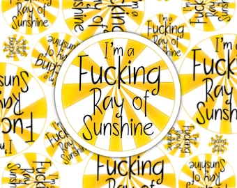 I’m A Ray Of Sunshine STICKER