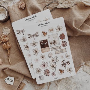 Collage Stickers | Floral, Shells, Ephemera Matte & Transparent Set of 25 image 8