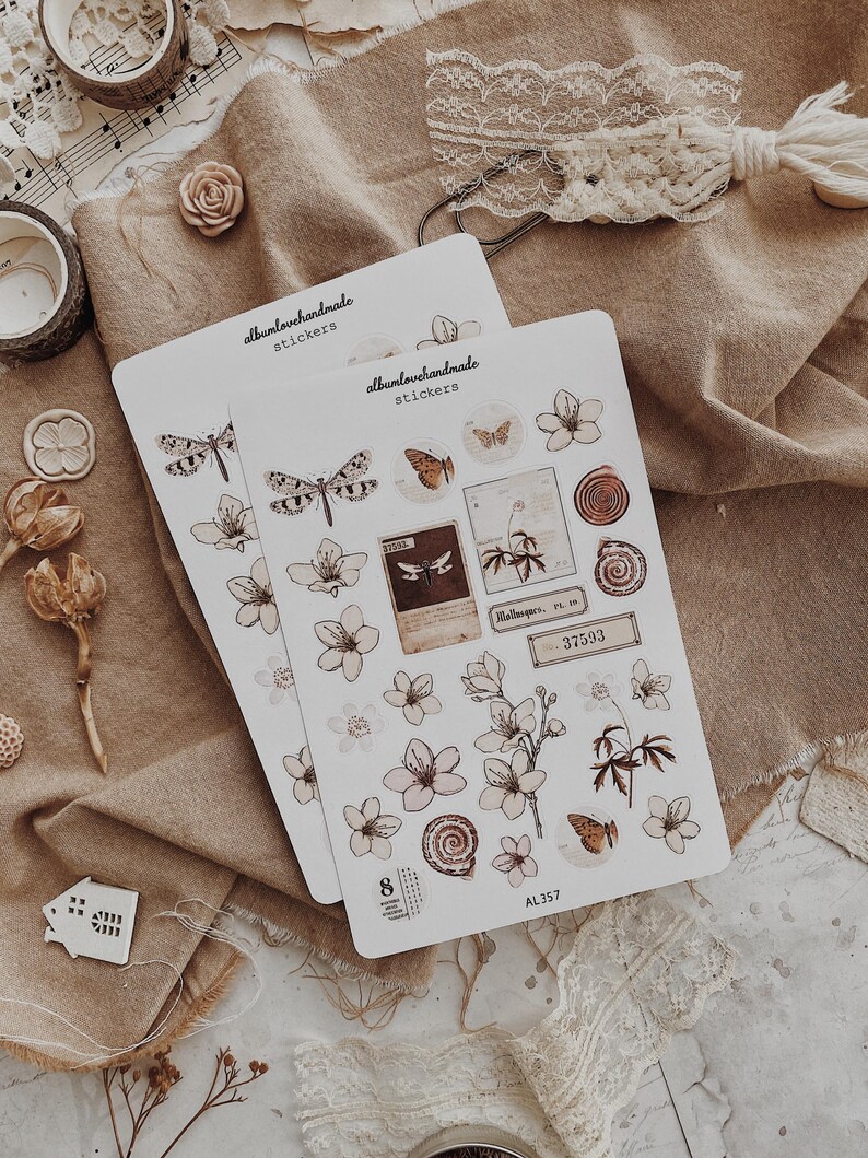 Collage Stickers | Floral, Shells, Ephemera Matte & Transparent Set of 25 image 8