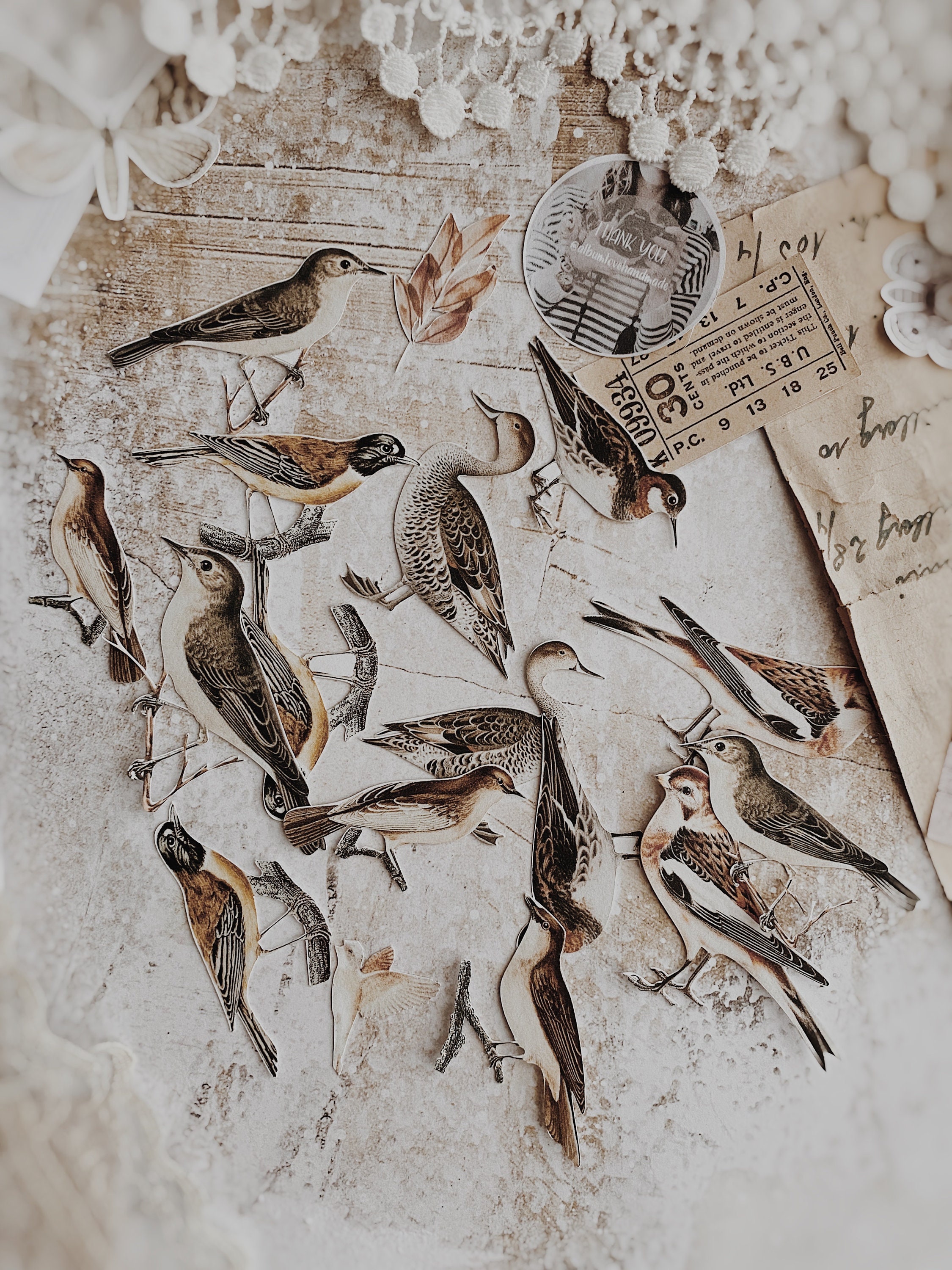 Printable A4 8.5x11 Birds Digital Instant Download | Etsy