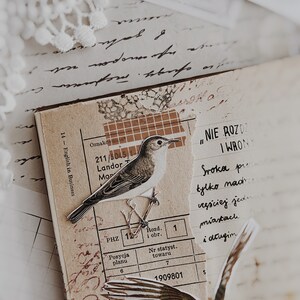 Printable | A4, 8.5x11 | Birds | Digital | Instant Download | Fuzzy Cut ...