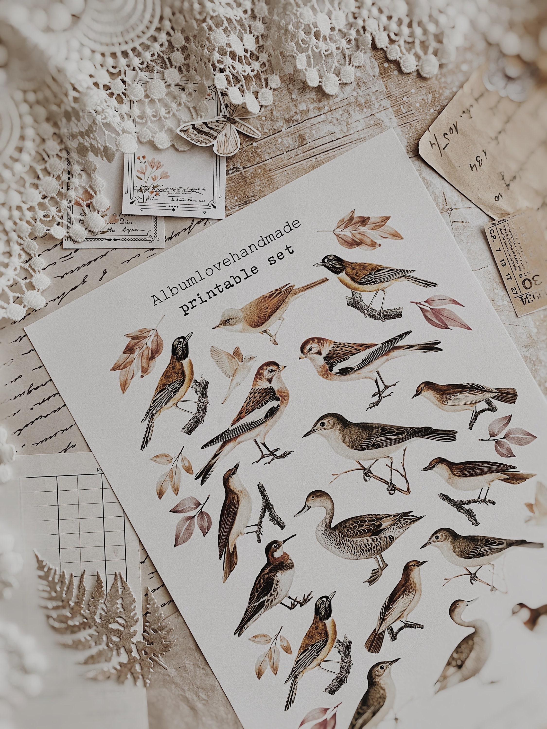 Printable A4 8.5x11 Birds Digital Instant Download | Etsy
