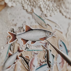 Aufkleber | Ausgeschnittene Aufkleber | Fisch-Aufkleber | Meer-Thema | Set 20 Stück