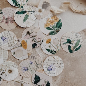 Stickers | Cirkel | Botanisch thema | Collagestickers | Plannerstickers | Dagboekstickers | Set van 20 stuks