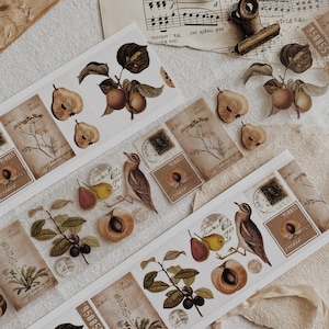 Nastro PET Albumlovehandmade / Stagione delle pere / Materiali artigianali per diario / Nastro trasparente per diario spazzatura / Nastro PET decorativo / 5 cm di larghezza