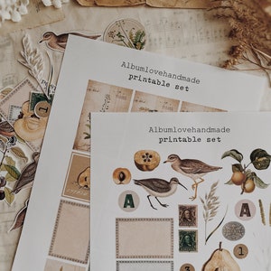 Imprimível | A4, 8,5x11 | Tema Pêra | Aves | Coisas efêmeras | Digitais | Adesivos de registro no diário para impressão | Papel estampado | Download instantâneo