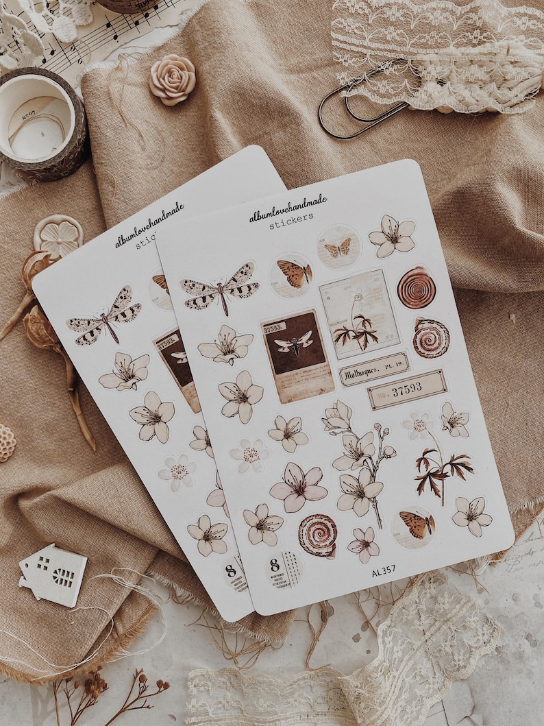 Collage Stickers | Floral, Shells, Ephemera Matte & Transparent Set of 25 image 1
