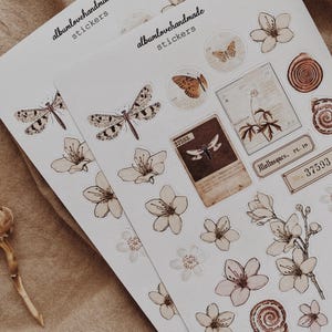 Collage Stickers | Floral, Shells, Ephemera Matte & Transparent Set of 25 image 7