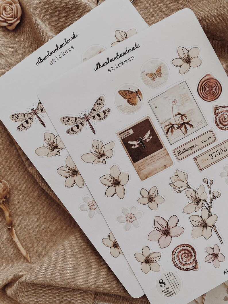 Collage Stickers | Floral, Shells, Ephemera Matte & Transparent Set of 25 image 7