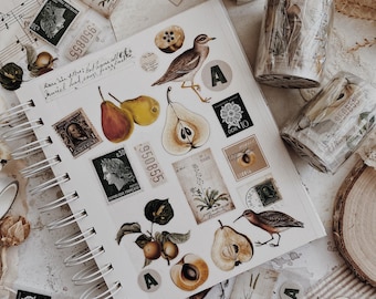 Fita adesiva PET artesanal Albumlove | Temporada de Peras | Materiais de artesanato para diário, 5 cm de largura