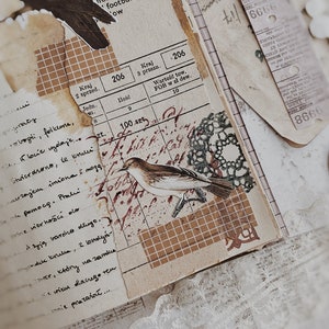 Printable | A4, 8.5x11 | Birds | Digital | Instant Download | Fuzzy Cut ...