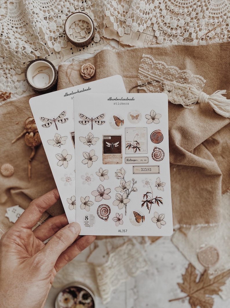 Collage Stickers | Floral, Shells, Ephemera Matte & Transparent Set of 25 image 5