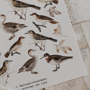 Printable | A4, 8.5x11 | Birds | Digital | Instant Download | Fuzzy Cut ...