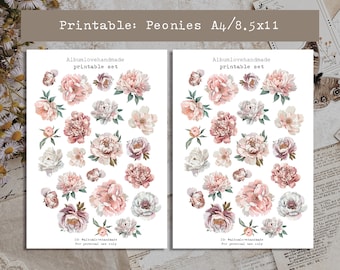 Imprimible / A4, 8,5 x 11 / Peonías / Tema floral / Elementos de collage / Digital / Pegatinas imprimibles para diario / Descarga instantánea