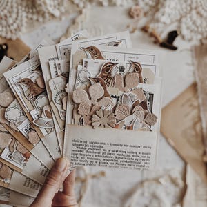 Bolsillo para efímeras / Tema de collage de junio / Suministros para diarios / Scrapbooking / Suministros para diarios basura / Manualidades con papel / más de 50 piezas