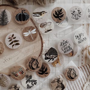 Può includere: Una collezione di adesivi circolari con illustrazioni a inchiostro nero a tema autunnale, tra cui scoiattoli, ricci, funghi, felci, zucche e libellule, con frasi come In Love With Cozy Weather e Enjoy the Autumn.