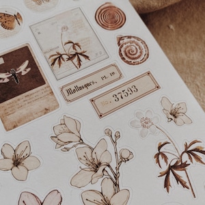 Collage Stickers | Floral, Shells, Ephemera Matte & Transparent Set of 25 image 6