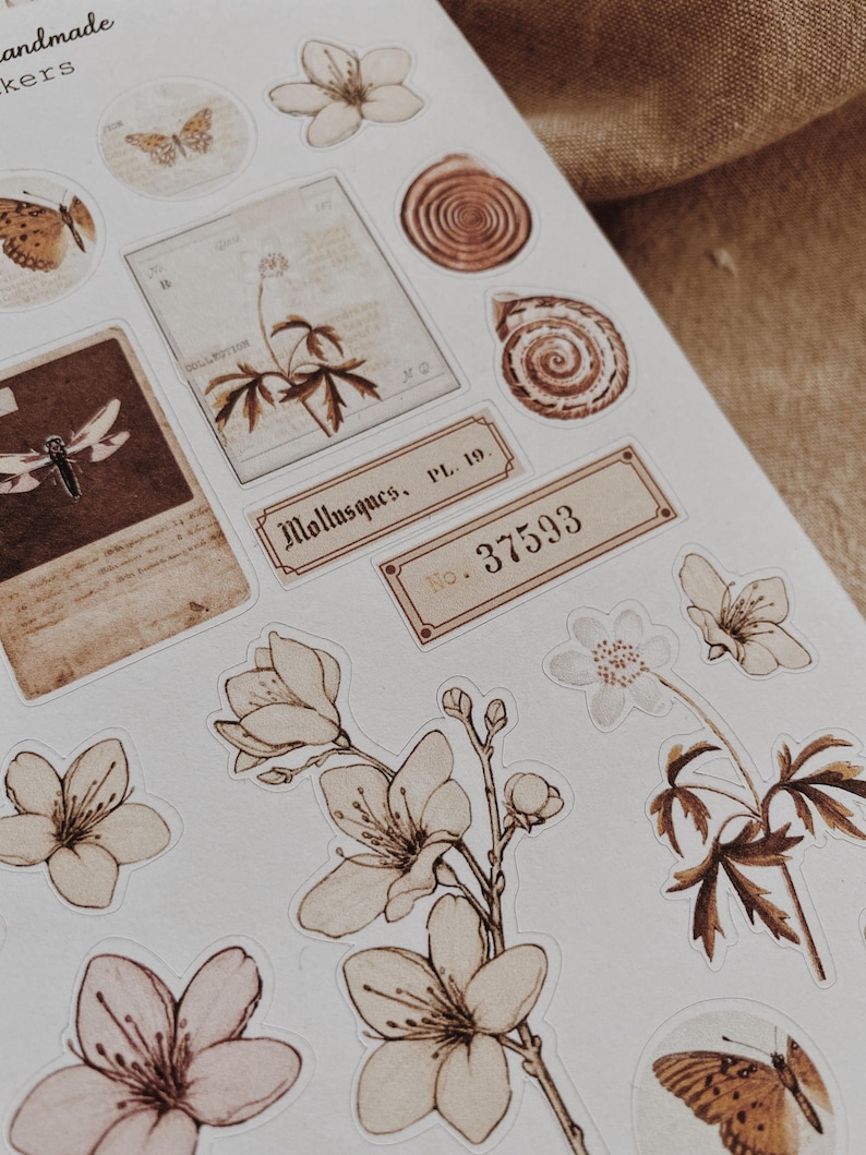 Collage Stickers | Floral, Shells, Ephemera Matte & Transparent Set of 25 image 6