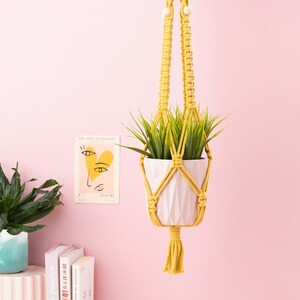 May include: A yellow macrame plant hanger with a white planter and green plant hanging from a pink wall. The planter has a textured design.