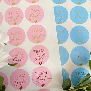 NIEUW gender reveal babyshowerstickers mat goudfolie genderstickers party team labels jongen of team meisje zwangerschapsaankondiging