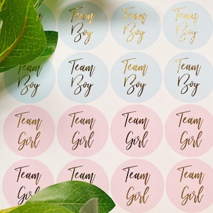 24 st NIEUWE gender reveal babyshower stickers gloss gender goudfolie party team jongen of team meisje labels zwangerschap aankondiging