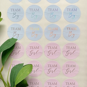 24 unidades, nuevo género, pegatinas para baby shower, brillo, género, papel de aluminio dorado, equipo de fiesta, etiquetas para niño o equipo para niña, anuncio de embarazo
