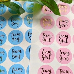 NUEVAS pegatinas de baby shower de revelación de género, pegatinas de género de lámina de oro mate, etiquetas de equipo de fiesta para niño o niña de equipo, anuncio de embarazo