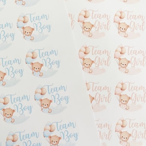 24-delige schattige beer gender reveal babyshower stickers glanzend of mat gender stickers party team labels jongen of team meisje zwangerschapsaankondiging