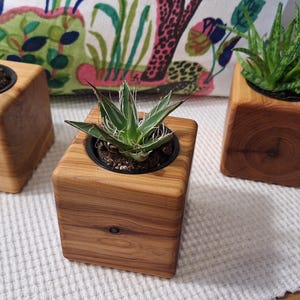Wooden succulent planter, small indoor planter, mini pot, pen holder, housewarming gift, cutlery holder, candle holder, solid wood,cube pot