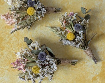 Ojales de flores secas de cardo y craspedia.