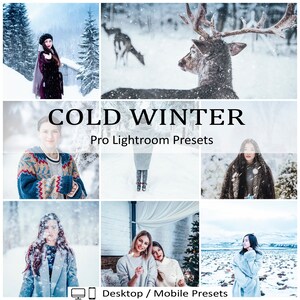 10 Cold Winter Mobile Desktop Presets Filters Lightroom Instagram Blogger Cozy Light Snow Christmas Blue Tone Xmas  New Year Holiday Mood