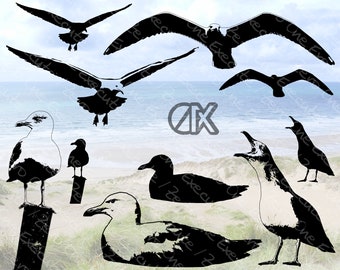 Gabbiano - Pacchetto combinato v1 | 5 varianti | sagome | Cricut | download digitale [svg | png | jpg | spec | pdf | webp] (senza sfondo)