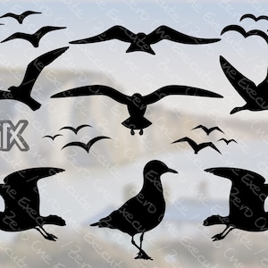 Puede incluir: Una colección de imágenes de siluetas negras de gaviotas en varias poses, incluyendo volando y de pie. La imagen presenta múltiples aves, algunas en vuelo y otras con las alas extendidas. El fondo es borroso, azul claro y blanco.